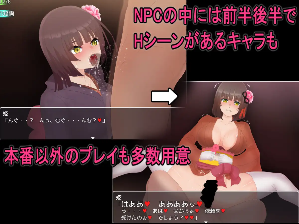 So Called NPC Rape 2 - A Rare Journey in a Japanese-style Game