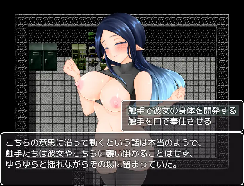 Shokushu Rabo Choukyou-bu Ottori Elf no Onee-san Hen Android Port + Translation